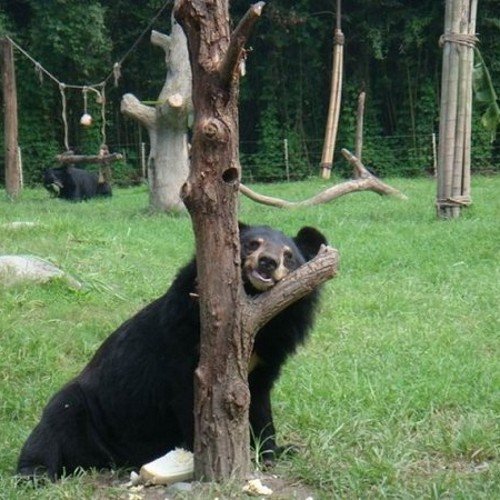 richthbc's profile picture. 