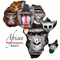 AfricaPrimateSociety (@africanps) 's Twitter Profile Photo