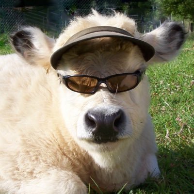 dicklangreene's profile picture. that was way harsh