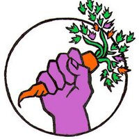 SF Food Not Bombs (@sffoodnotbombs) 's Twitter Profile