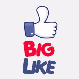 BigLike_org's profile picture. 