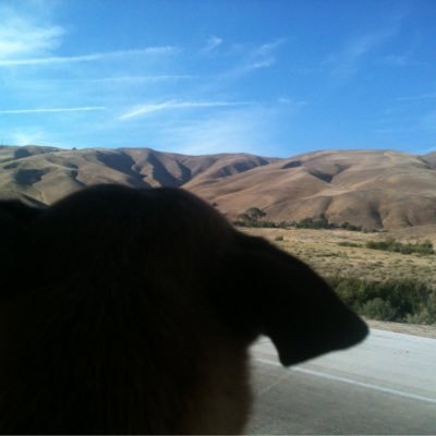 kachi0101's profile picture. 