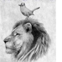 Cat-N-Bird Winery (@catnbirdwinery) Twitter profile photo