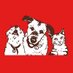 Stella & Chewy's (@stellaandchewys) Twitter profile photo Stella & Chewy's (@stellaandchewys) Twitter profile photo