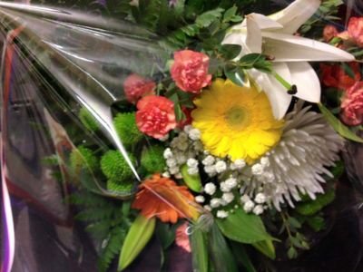 gonulsaray8's profile picture. 