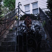 SpaDe♠ErA (@dark_atm) 's Twitter Profile
