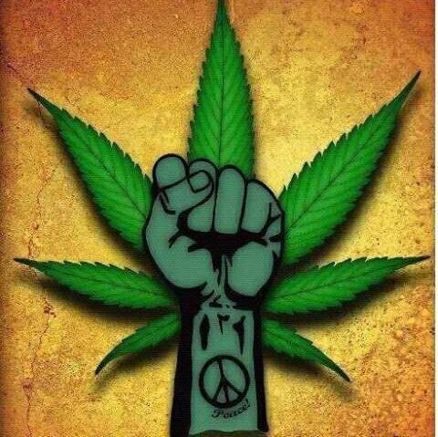 WilsonRocksOn's profile picture. Progressive, Pro Cannabis Advocate, Fighter of Hate & Discrimination, Ally of LGBTQ & Womens Rights & Totally Opinionated, Deal with it...