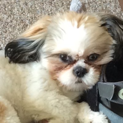 Dluvs2crop22's profile picture. 