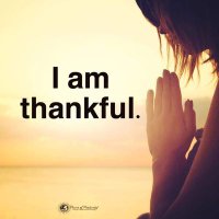 theresa cardazone (@tcardazone) 's Twitter Profile