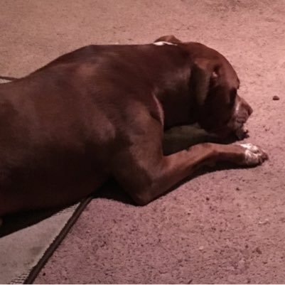 bleedred4neb's profile picture. 