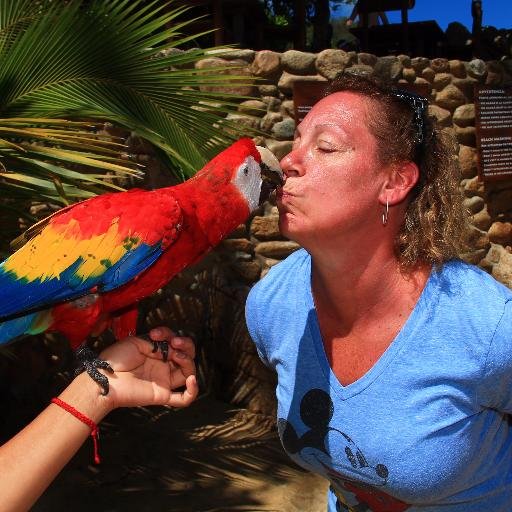 TMYeager4's profile picture. MILITARY MOM 🇺🇸⛩/WIFE 💕/NEURO NURSE🧠