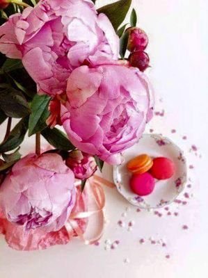 SIMIGIRL's profile picture. Find your happy place