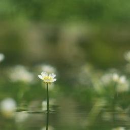 滋賀県草津市在住のサラリーマンです
ランニングを始めました