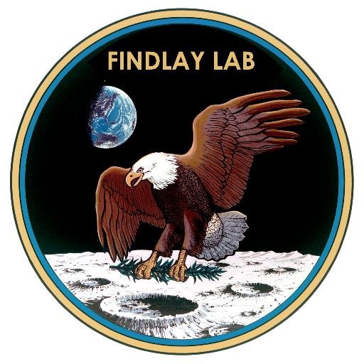 FindlayLab Profile Picture