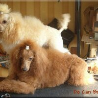 Miguel Can Bravo 🐦 (@docanbravo) 's Twitter Profile Photo