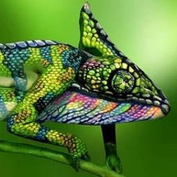 EmreBalci13's profile picture. 