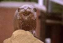 Wesley777's profile picture. 