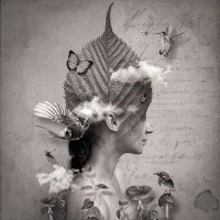 sofi (@kaucukcubasi) Twitter profile photo