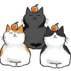 水蓮さんのプロフィール画像