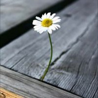 .................. (@7kooom1988) Twitter profile photo