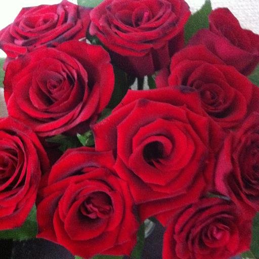 Hi63ki 今日のお花 リシアンサス 花言葉は すがすがしい美しさ 優美 希望 花 Flower Flowers Ufnefleur 切り花 リシアンサス Lisianthus トルコキキョウ トルコギキョウ トルコ桔梗 ユーストマ Eustoma Texasbluebell