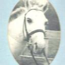 JAIMEE WILLIAMS - @LEXIQUTE - Twitter