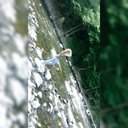 Eileen Walter - @exlexnn - Twitter