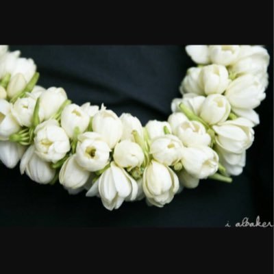 fadwaalhomoud's profile picture. 