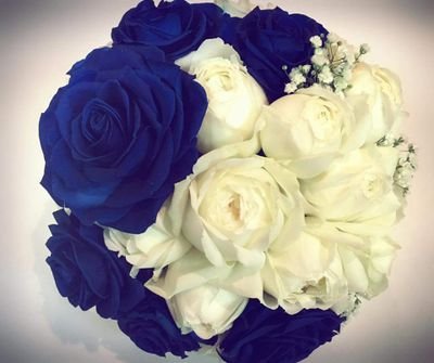 chieeepan さんのプロフィール写真