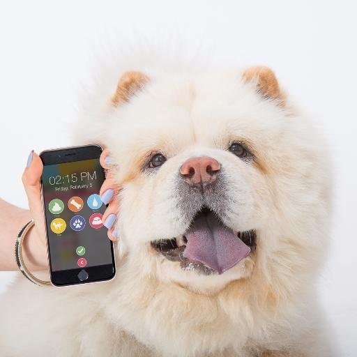 We love dogs more than dogs love squirrels. We love dogs so much that we made an app to help simplify dog care.

That's a whole lot of love right there.