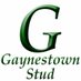 Gaynestown stud (@gaynestownstud) Twitter profile photo Gaynestown stud (@gaynestownstud) Twitter profile photo