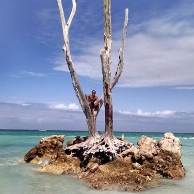 JuanEArteaga's profile picture. 