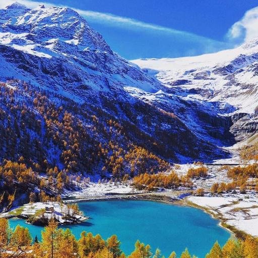 nice_lands's profile picture. 