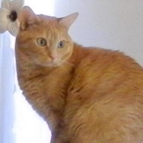 AvidreaderinVA's profile picture. I'm happily married.  I love God, family, country, friends and my animals. I'm pro-life.  I support President Trump and Vice President Vance 100%.