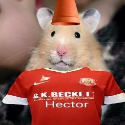 Tyketicus's profile picture. Where there's muck, there's copper alloy