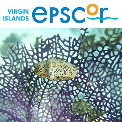 Hello from America’s Caribbean! We are an NSF-EPSCoR awardee. Visit our website to learn all about our Ridge to Reef project.