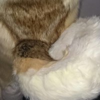 Poundland Dionysus (@kenningdark) 's Twitter Profile