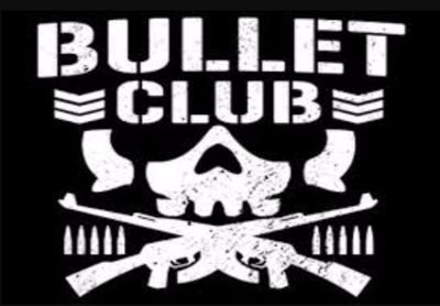 bullet club fan doing wwe and all around wrestling updates, doing polls every day, live wwe reactions and I follow back so you should to