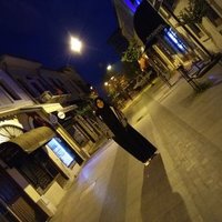 canseltasdogen (@tsdogen) 's Twitter Profile