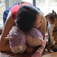 Mai Ha (@maispaceha) 's Twitter Profile