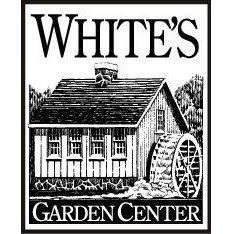 whitesnursery's profile picture. We are a family owned greenhouse and garden center with over 60 years of experience. Potted plants, bedding, and gift items are our specialty.