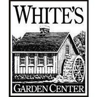White's Nursery(@whitesnursery) 's Twitter Profile Photo
