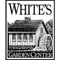White's Nursery (@whitesnursery) 's Twitter Profile