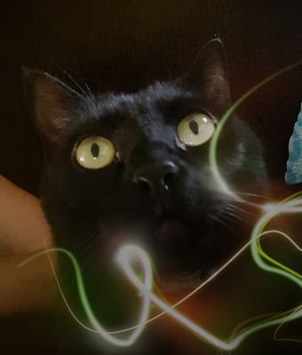 BonovoxSM's profile picture. 