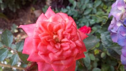 indee_38's profile picture. 