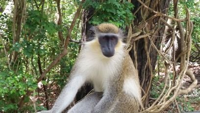 fo_rofo62's profile picture. 