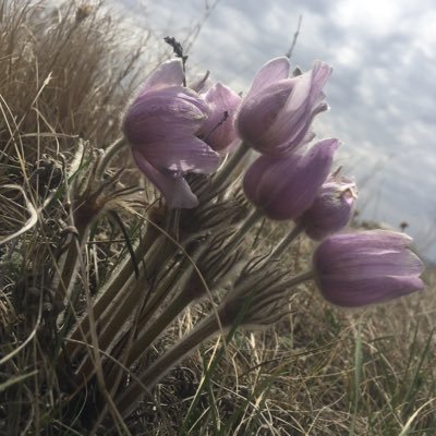 STai1on's profile picture. 