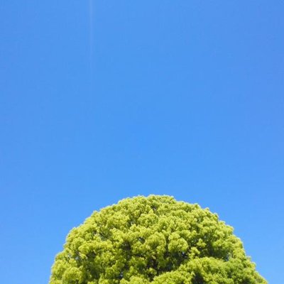 くう太郎 空太郎 (@soratarou3) / X