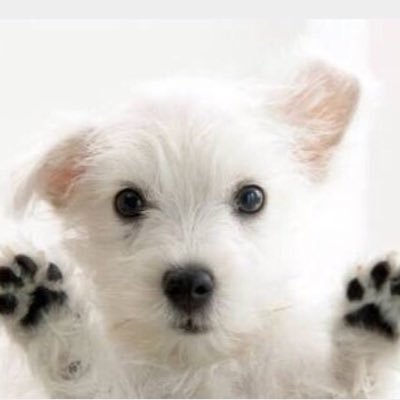 martcox01's profile picture. Better workplaces through innovation and CX - good food, martinis and independent thinking