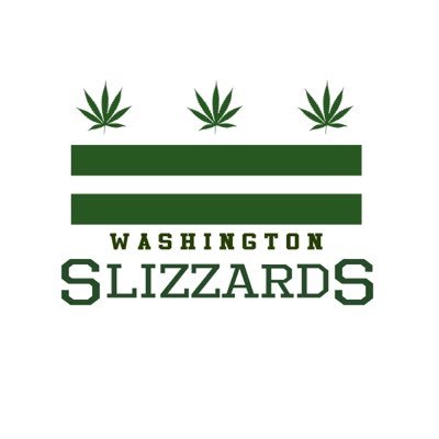 Washington Slizzards